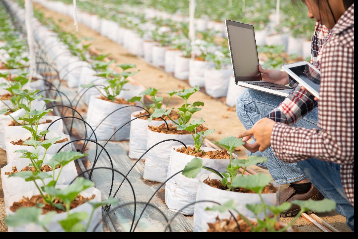 Journée “Transition agroécologique et robotique : un scénario viable ?”