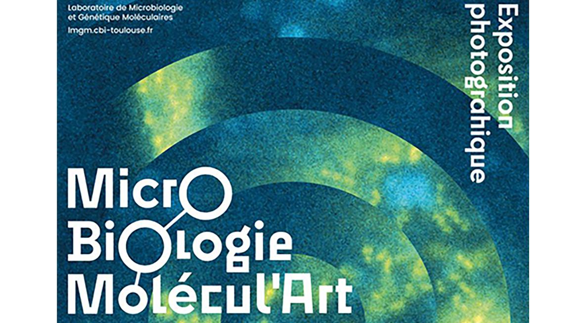Exposition de photos scientifiques : MicrO BiOlogie Molécul'Art