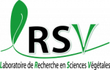 Logo LRSV
